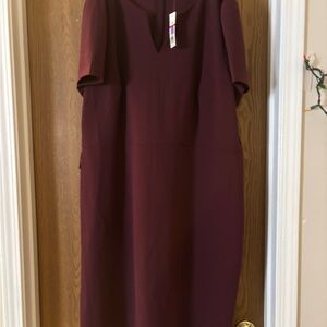 The Limited Deep Burgundy Midi Dress